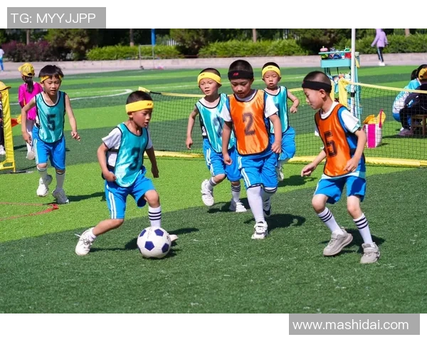 足球追忆：那些年我们一起追逐的绿茵梦想与激情岁月